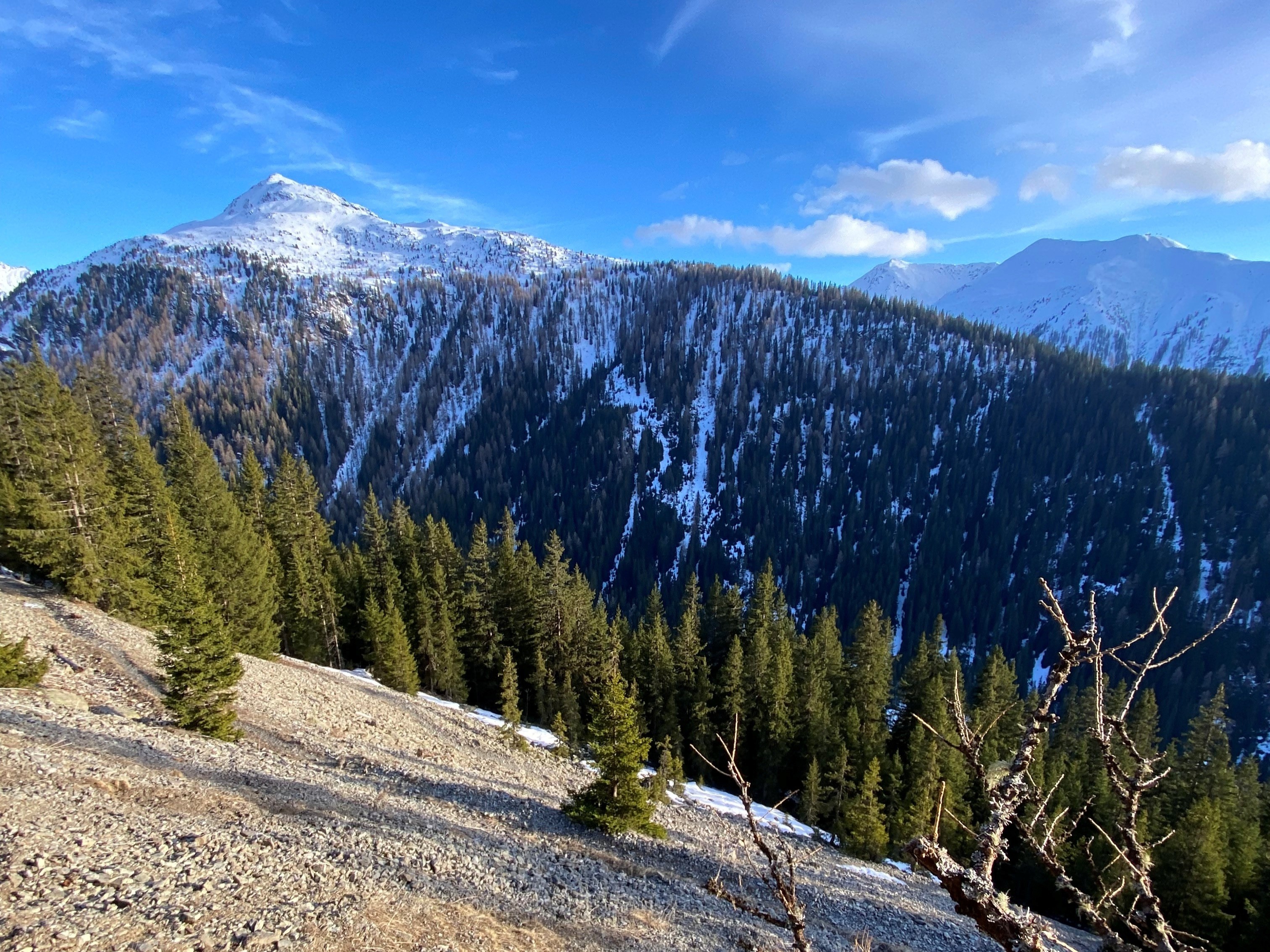 Vue panoramique d'une montagne enneigée surplombant une forêt de conifères. Le ciel est partiellement nuageux avec des teintes de bleu. Des pentes escarpées et rocheuses montrent un paysage naturel impressionnant.