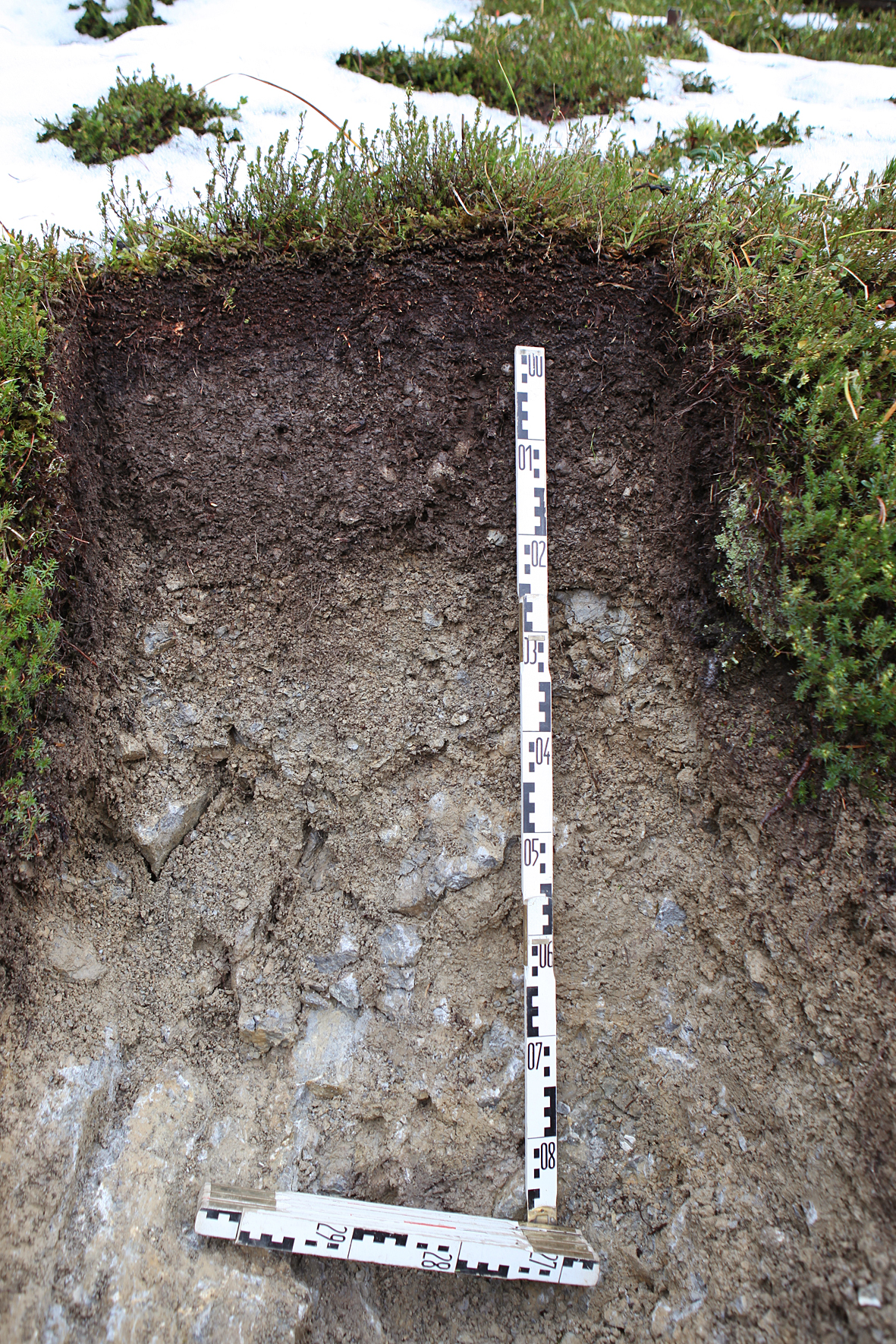 How alpine ecosystems are responding to climate change: it all comes ...