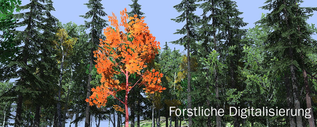 Bunte Baumgruppe in einem Wald, mit einem orangefarbenen Baum in der Mitte. Text 'Forstliche Digitalisierung' am unteren Bildrand.