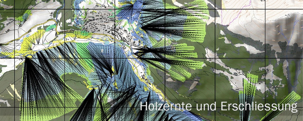Topografische Karte mit farbigen Flächen in Blau, Grün und Beige, überlagert von schwarzen Linien, die Erschließungswege darstellen. Text 'Holzernte und Erschließung' in der unteren rechten Ecke.