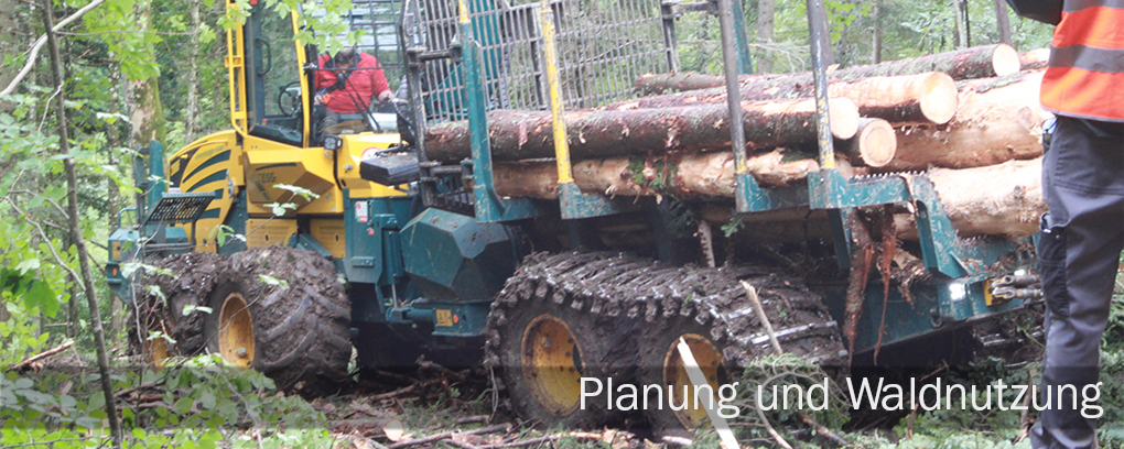 Ein Forstmaschinenfahrzeug mit großen Reifen transportiert Baumstämme im Wald. Sichtbare Text: 'Planung und Waldnutzung'.