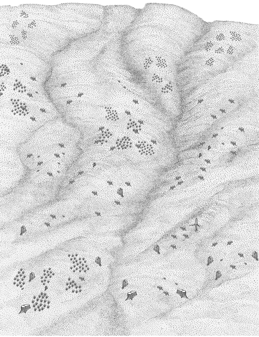 Schwarz-weiße Zeichnung einer hügeligen Landschaft mit vielen kleinen Gruppen von Bäumen, die verstreut auf dem Gelände stehen.