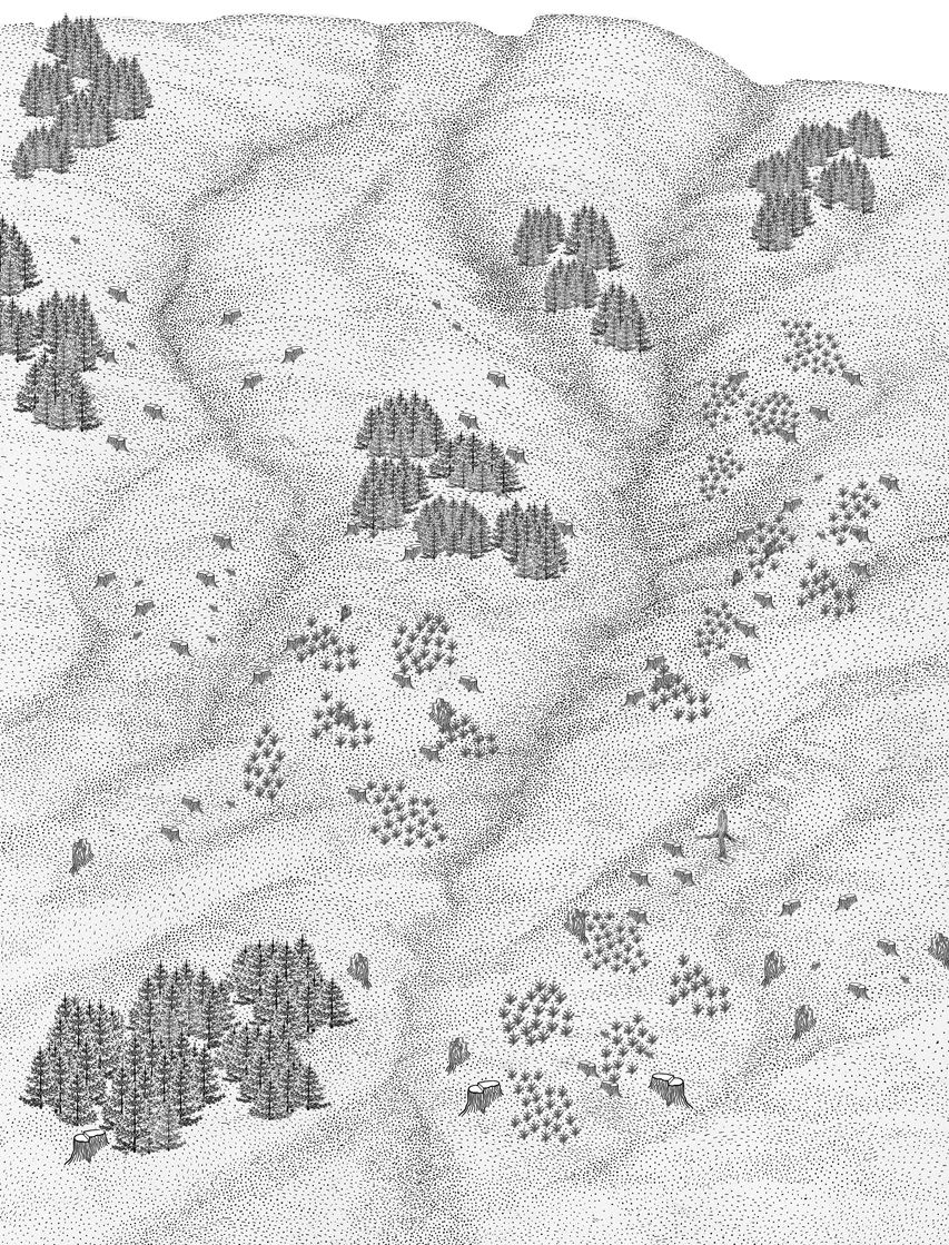 Schwarz-weiße Illustration einer bewaldeten Landschaft mit einzelnen Gruppen von Nadelbäumen