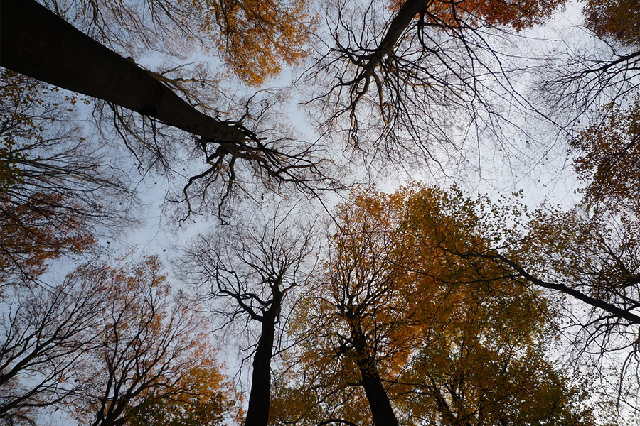 Newsletter für Medienschaffende