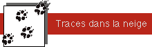 Traces dans la neige