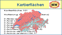Kartierflächen