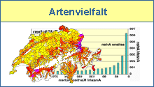 Artenvielfalt
