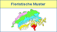 Floristische Regionen