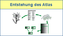 Entstehung Atlas