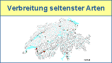 Seltenste Arten