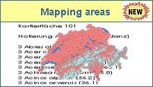 Mapping areas