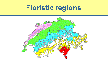 Floristic regions