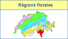Régions florales