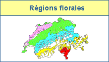 R&eacute;gions florales