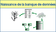 Banque de donn&eacute;es