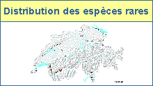 Esp&egrave;ces rares